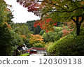 Autumn leaves at Yoshimineji Temple 120309138