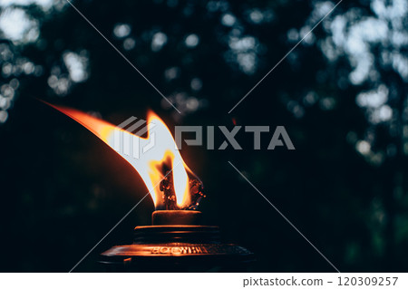 burning torch in a forest in the dark burning torch in a forest in the dark 120309257