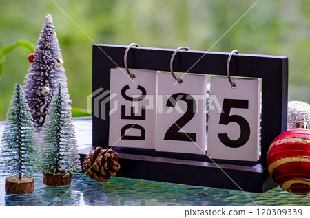 25th December table calendar with small Christmas trees decoration. Christmas celebration concept. 120309339