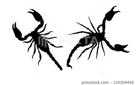 Scorpio insect zodiac sign, Silhouette Of A Scorpion, Scorpio Tattoo. Hand drawing. Not AI, Vector illustration. Scorpio insect zodiac sign, Silhouette Of A Scorpion, Scorpio Tattoo. Hand drawing. Not AI, Vector illustration. 120309488