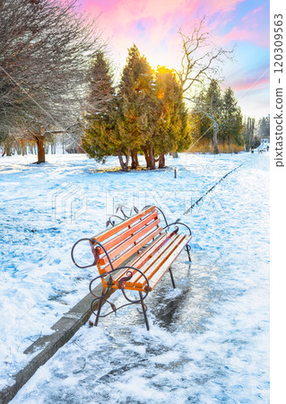 Astonishing view of park bench and trees covered by heavy snow. 120309563