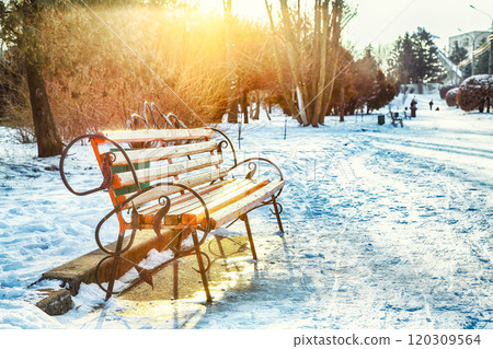 Astonishing view of park bench and trees covered by heavy snow. 120309564