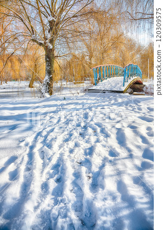 Fabulous landscape in city park with snowy trees and beautiful frozen river and footbridge 120309575