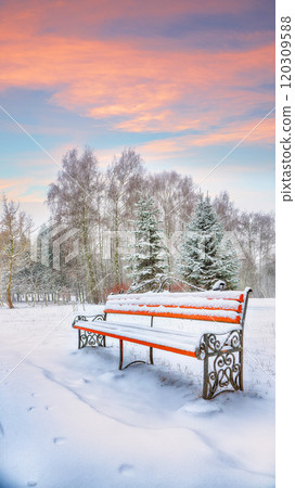 Astonishing view of park bench and trees covered by heavy snow. 120309588