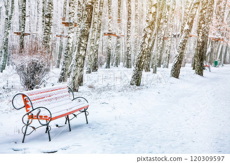 Astonishing view of park bench and trees covered by heavy snow. 120309597