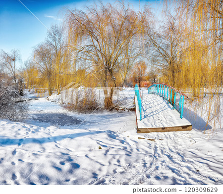 Fabulous landscape in city park with snowy trees and beautiful frozen river and footbridge Fabulous landscape in city park with snowy trees and beautiful frozen river and footbridge 120309629