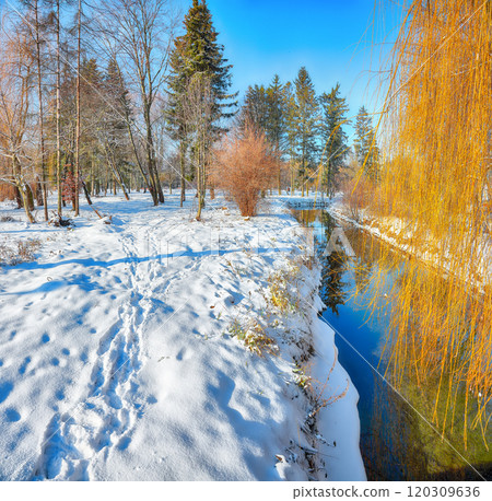 Stunning landscape with snowy trees, beautiful frozen river with reflection in water. Stunning landscape with snowy trees, beautiful frozen river with reflection in water. 120309636