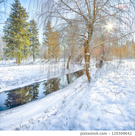 Stunning landscape with snowy trees, beautiful frozen river with reflection in water. 120309642