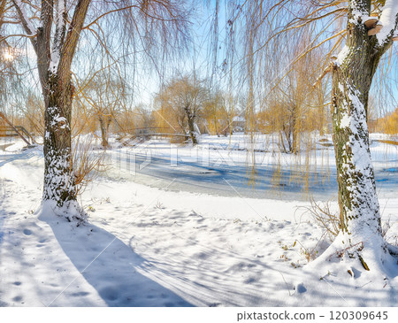 Fabulous landscape in city park with snowy trees and beautiful frozen river and footbridge 120309645