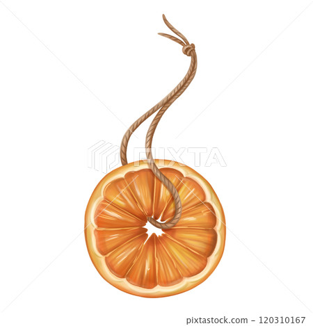 A Christmas tree toy made of dried orange on a string, an organic decoration for home and winter holidays. A handmade gift from organic materials. Sustainable new year and xmas. Isolated illustration A Christmas tree toy made of dried orange on a string, an organic decoration for home and winter holidays. A handmade gift from organic materials. Sustainable new year and xmas. Isolated illustration 120310167