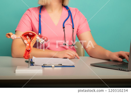 anatomical model of female reproductive systemon work desk of doctor 120310234