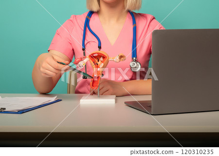 doctor gynecologist pointing model of female reproductive system on his desktop doctor gynecologist pointing model of female reproductive system on his desktop 120310235