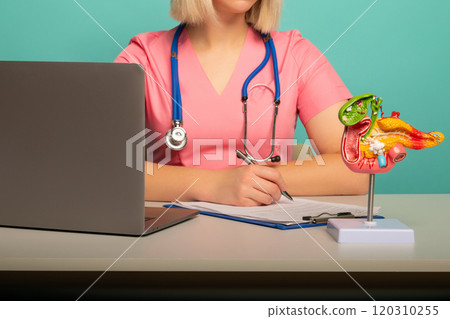 anatomical model pancreas on work desk of doctor anatomical model pancreas on work desk of doctor 120310255