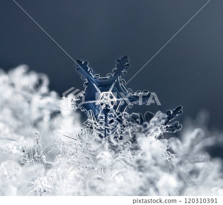 winter photo of snowflakes in the snow 120310391