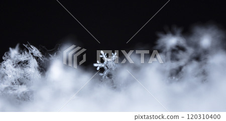 winter photo of snowflakes in the snow 120310400