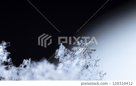 winter photo of snowflakes in the snow winter photo of snowflakes in the snow 120310412