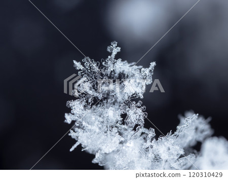 winter photo of snowflakes in the snow winter photo of snowflakes in the snow 120310429