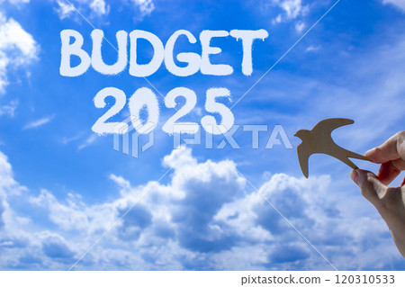 Planning budget 2025 new year symbol. Concept words Budget 2025 on beautiful blue sky. Beautiful blue sky clouds background. Hand with wooden bird. Business budget 2025 new year concept. Copy space. Planning budget 2025 new year symbol. Concept words Budget 2025 on beautiful blue sky. Beautiful blue sky clouds background. Hand with wooden bird. Business budget 2025 new year concept. Copy space. 120310533