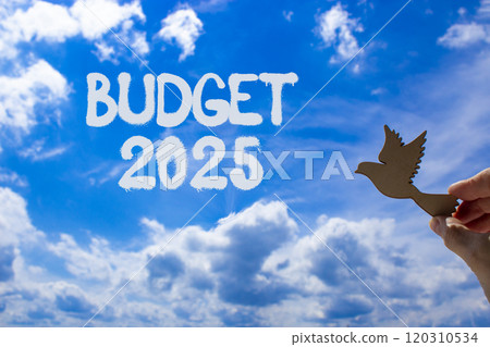 Planning budget 2025 new year symbol. Concept words Budget 2025 on beautiful blue sky. Beautiful blue sky clouds background. Hand with wooden bird. Business budget 2025 new year concept. Copy space. 120310534