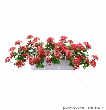 decorative flowers and plants for the interior, isolated on white background, 3D illustration, cg render decorative flowers and plants for the interior, isolated on white background, 3D illustration, cg render 120310614