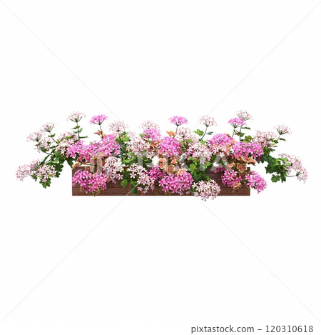 decorative flowers and plants for the interior, isolated on white background, 3D illustration, cg render 120310618