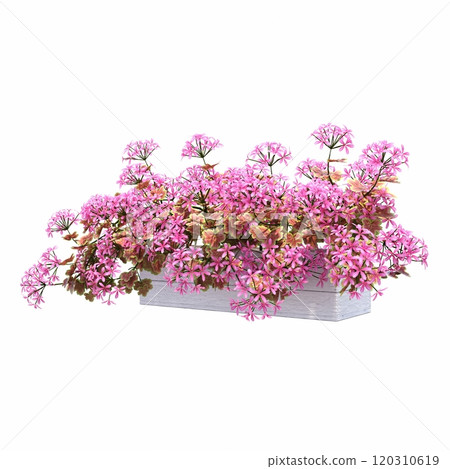 decorative flowers and plants for the interior, isolated on white background, 3D illustration, cg render 120310619