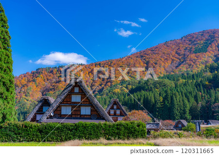 [World Heritage Site] Shirakawa-go and Sanrengosho in full autumn color [Gifu Prefecture] 120311665