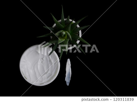 Natural organic body cream isolated on black with copy space. Cosmetics based on natural ingredients without preservatives. Concept of self-care and caring for the environment 120311839