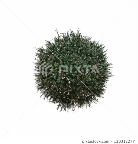 Christmas tree with decorations, isolated on white background, 3D illustration, cg render Christmas tree with decorations, isolated on white background, 3D illustration, cg render 120312277