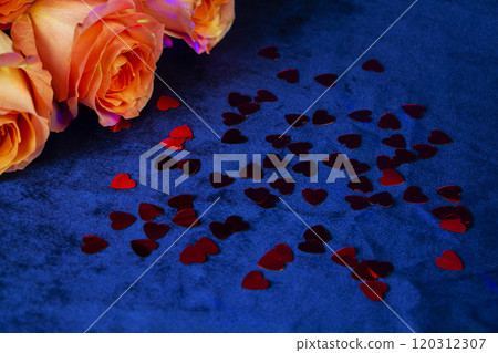 A cluster of beautiful roses and vibrant red hearts arranged on a blue surface 120312307