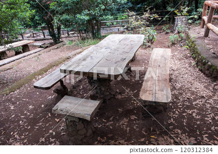 public picnic spot in forest with wooden table and benches near hiking trail in tenerife . public picnic spot in forest with wooden table and benches near hiking trail in tenerife . 120312384
