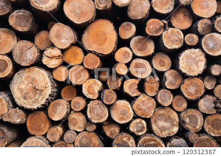 Stacked Timber Logs - Natural Wood Texture Background 120312387