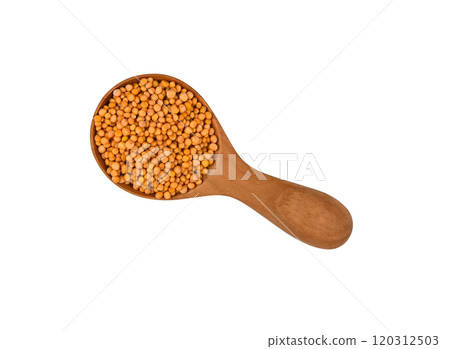 Close up wooden spoon of mustard seeds Close up wooden spoon of mustard seeds 120312503