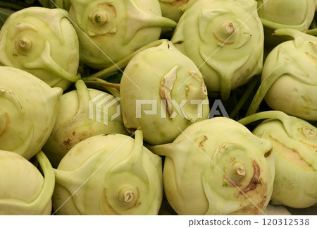 Fresh green kale turnip kohlrabi 120312538