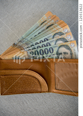Hungarian forint banknotes in a brown leather wallet. Hungarian forint banknotes in a brown leather wallet. 120313622