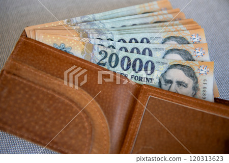 Hungarian forint banknotes in a brown leather wallet. Hungarian forint banknotes in a brown leather wallet. 120313623