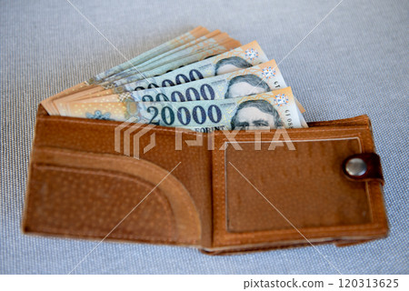 Hungarian forint banknotes in a brown leather wallet. Hungarian forint banknotes in a brown leather wallet. 120313625