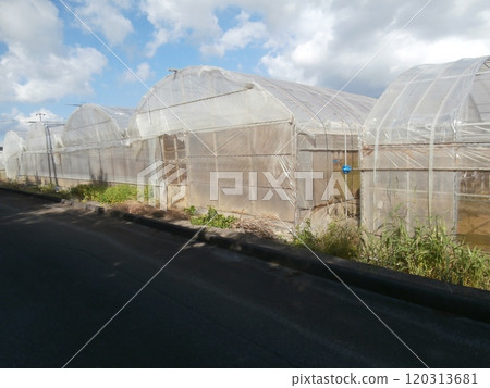 vinyl house  vinyl house  120313681