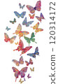 Colorful Watercolor Butterflies isolated on white background 120314172