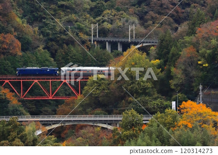 Cassiopeia Journey, towed by EF64-1032 locomotive, running up the Chuo Line, brimming with autumn foliage_Photographed on 16 November 2024 Cassiopeia Journey, towed by EF64-1032 locomotive, running up the Chuo Line, brimming with autumn foliage_Photographed on 16 November 2024 120314273