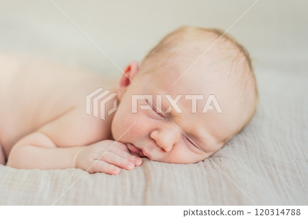 The baby is sleeping peacefully in his cozy nest. Newborn photo session captures the serene innocence and warmth of early moments The baby is sleeping peacefully in his cozy nest. Newborn photo session captures the serene innocence and warmth of early moments 120314788
