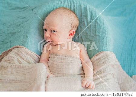 The baby is sleeping peacefully in his cozy nest. Newborn photo session captures the serene innocence and warmth of early moments The baby is sleeping peacefully in his cozy nest. Newborn photo session captures the serene innocence and warmth of early moments 120314792