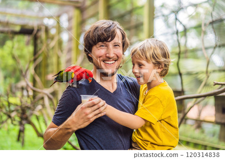 Dad and son feed the parrot in the park. Spending time with kids concept 120314838