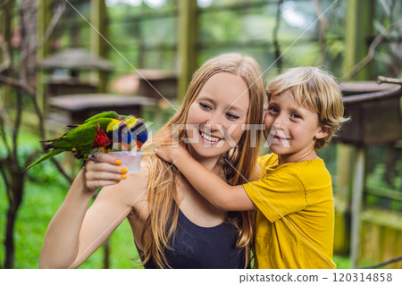 Mom and son feed the parrot in the park. Spending time with kids concept Mom and son feed the parrot in the park. Spending time with kids concept 120314858