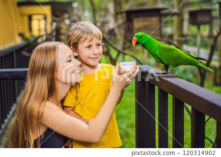 Mom and son feed the parrot in the park. Spending time with kids concept 120314902