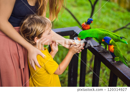 Mom and son feed the parrot in the park. Spending time with kids concept 120314927
