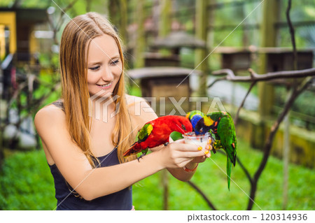 Young woman feeding big tropical parrots with milk 120314936