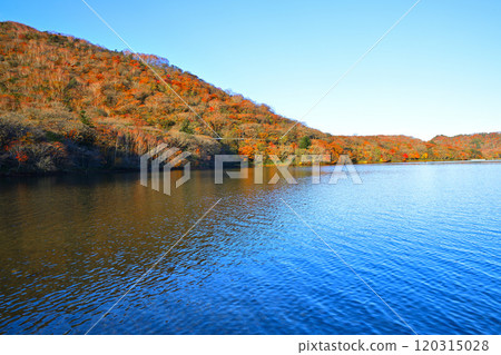 Autumnal scenery at Lake Onuma, Akagi, with autumn foliage changing colours, Jizo-dake Autumnal scenery at Lake Onuma, Akagi, with autumn foliage changing colours, Jizo-dake 120315028