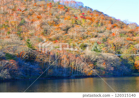 赤城山 赤城大沼 從湖邊眺望秋景 赤城山 赤城大沼 從湖邊眺望秋景 120315140