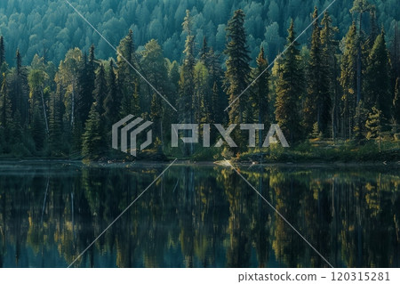 A forest with a lake in the background 120315281